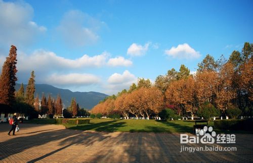 高原明珠滇池之旅