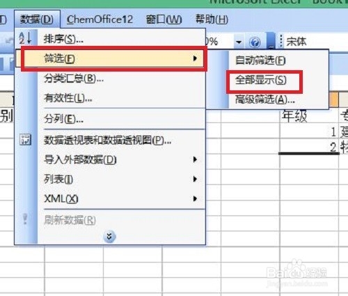 excel表格数据高级筛选