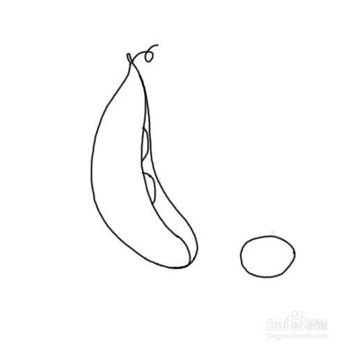 毛豆简笔画