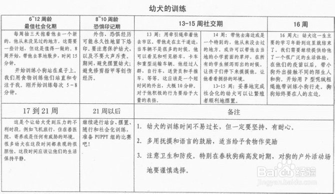 你知不知道幼犬社会化的重要性么?