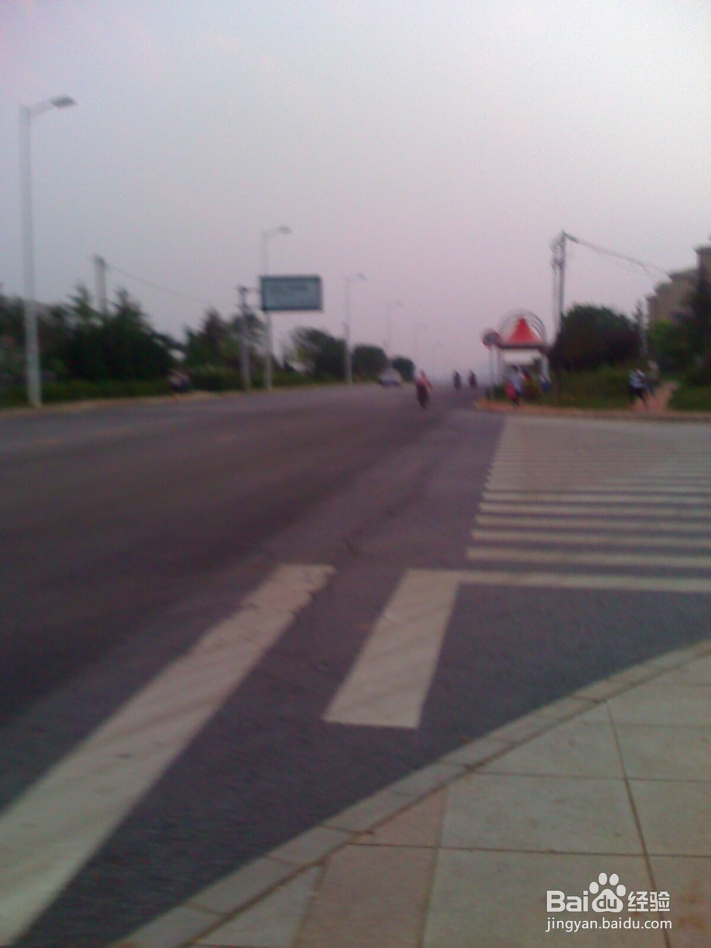 怎样告诉孩子安全过马路--95
