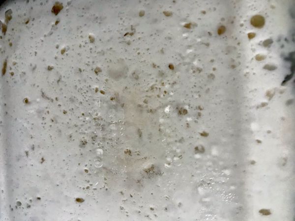 蒜香卡仕达酱面包