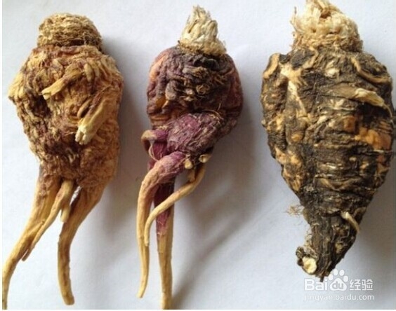 如何鉴别云根圣果玛咖真假