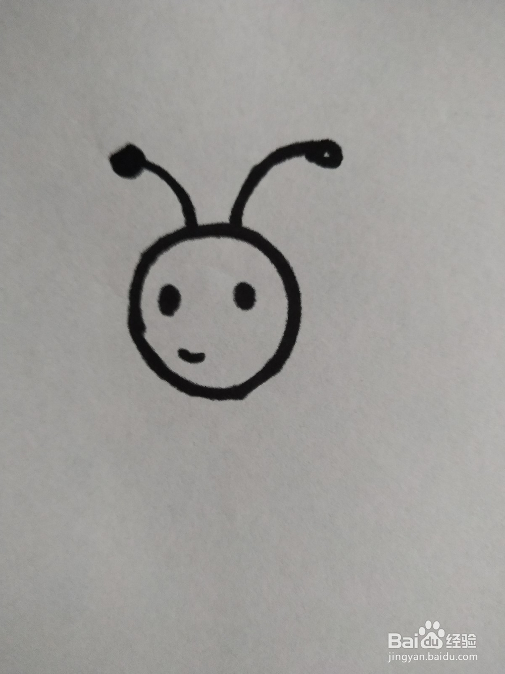 蜜蜂的简笔画技法7