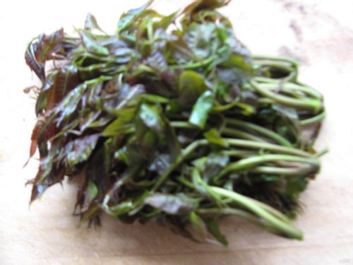 简单的美味---香椿炒鸡蛋