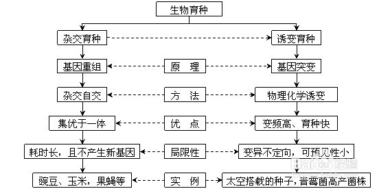 生物育种有哪些？