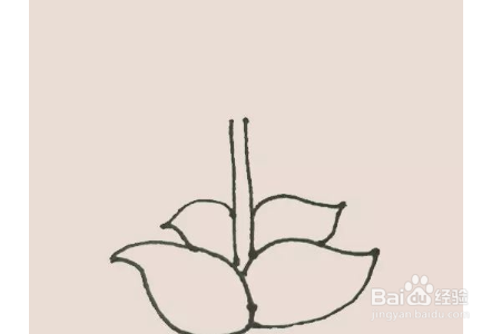 豌豆射手简笔画