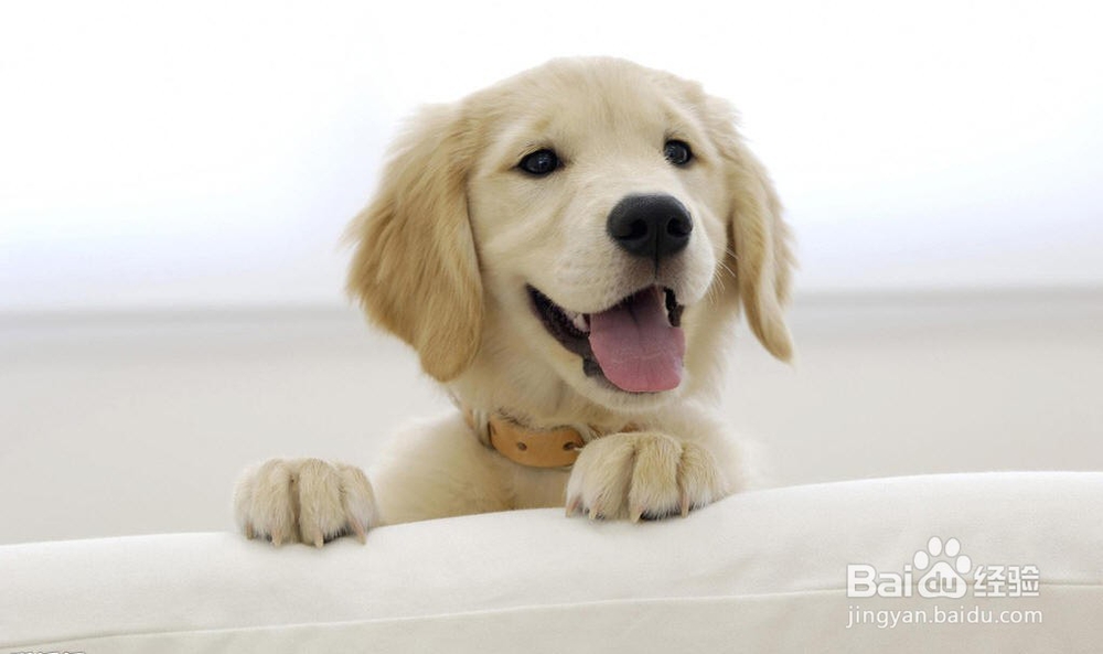 如何玩转天天爱消除