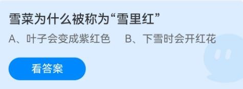 雪菜为什么叫雪里红蚂蚁庄园12.26答案