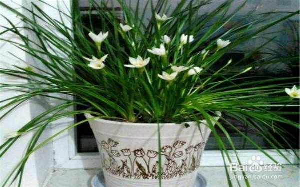 新房装修如何减少装修污染