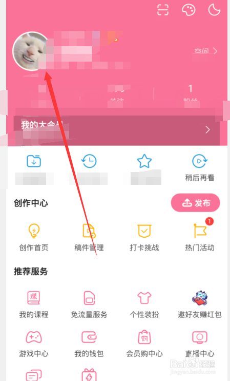 哔哩哔哩b币有什么用，哔哩哔哩b币如何获取