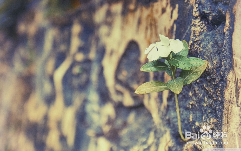 怎么去除青春痘印