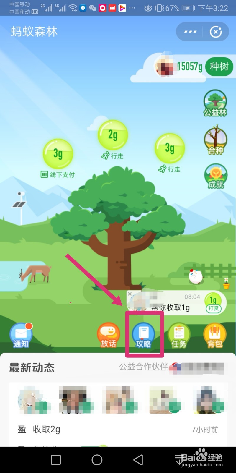 支付宝的能量怎么才能有很多