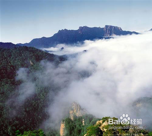 五一去雾灵山旅游多少钱