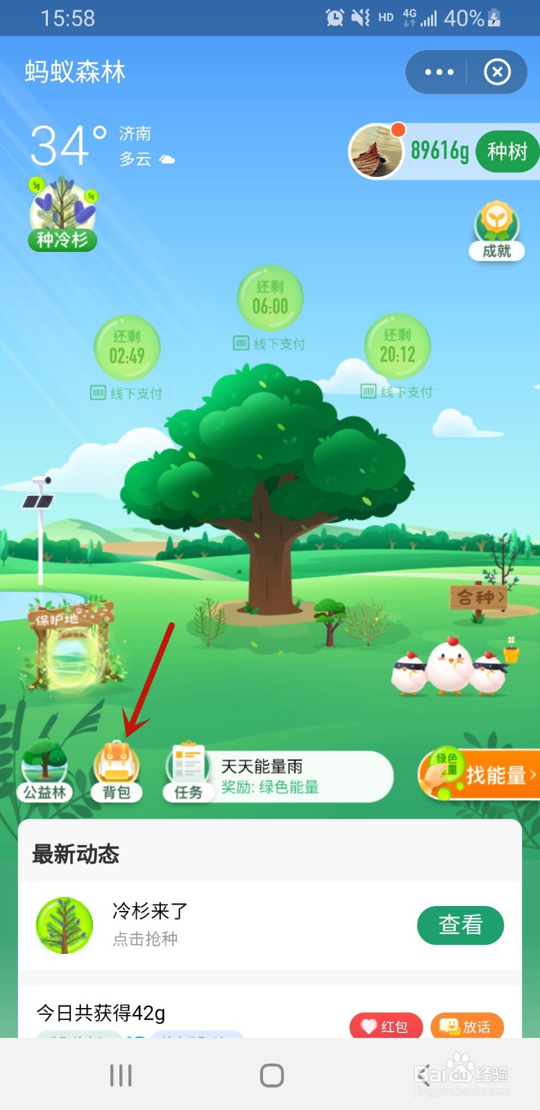 支付宝的蚂蚁森林如何装扮大树
