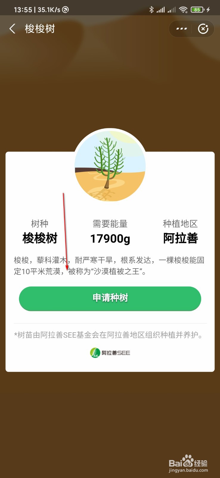 支付宝怎么种树