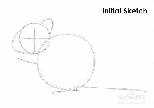 如何绘制花栗鼠——加菲的吃货生活