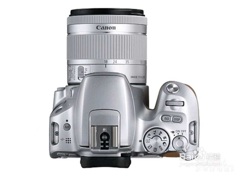 佳能单反数码相机好不好？佳能拍照效果怎么样