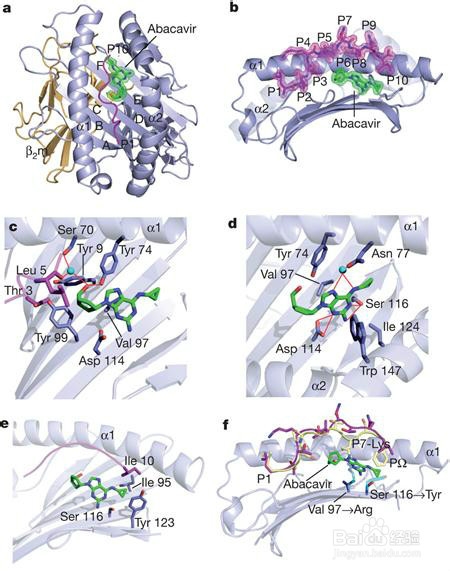 丘疹状荨麻疹怎么治疗