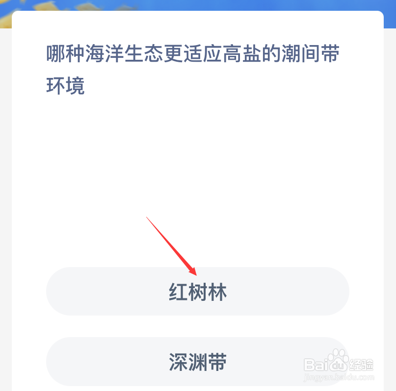 神奇海洋哪种海洋生态更适应高盐的潮间带环境