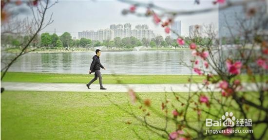 健康走路,你我知晓!