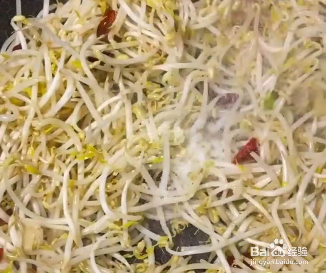 韭菜炒绿豆芽