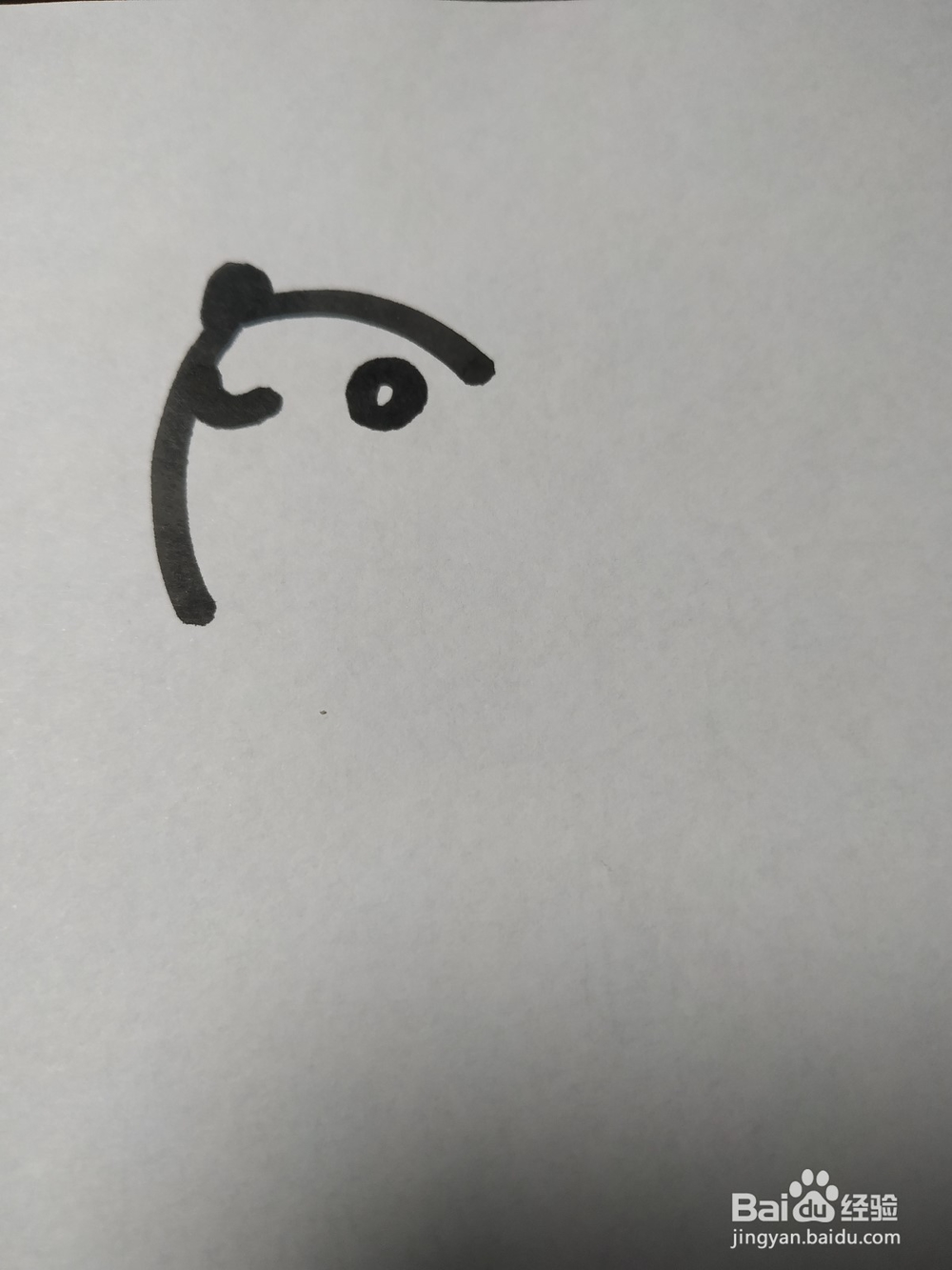 老鼠的简笔画技法35