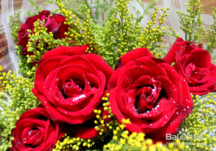 2019年情人节如何选购玫瑰花送情人