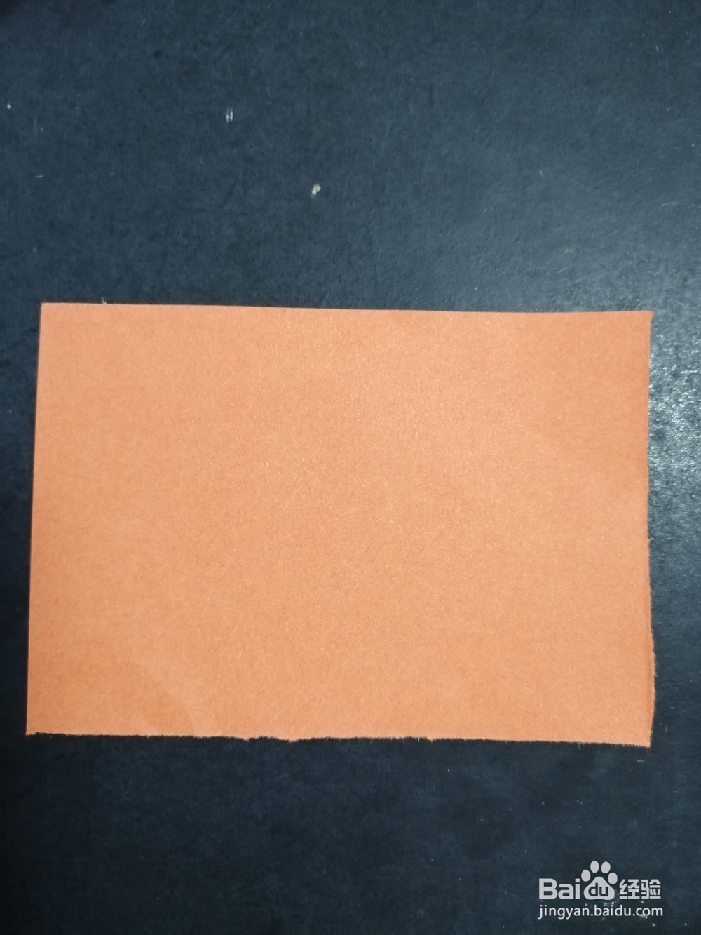 简单的猫头鹰怎么剪