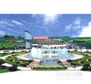 成都哪里的大学好