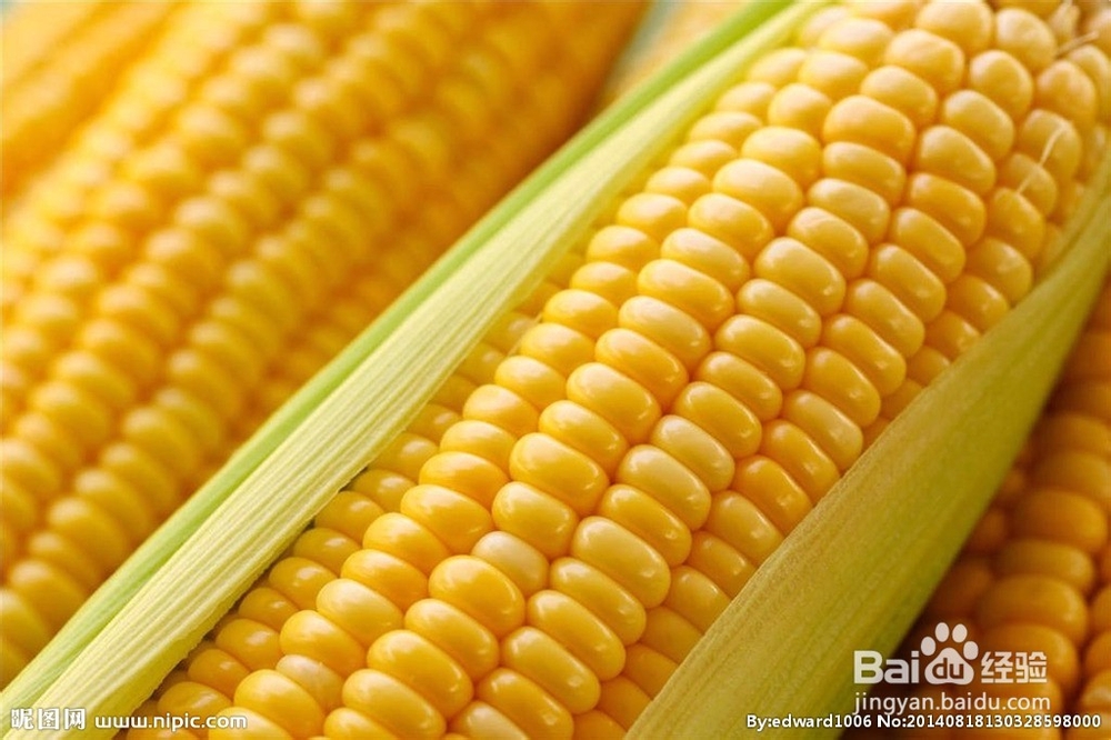 有助于提高记忆力的食物（一）