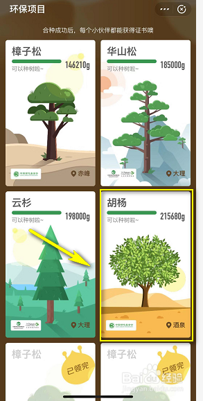 蚂蚁森林胡杨怎么种