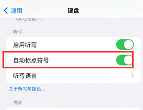 iPhone15怎么进行开启自动标点符号？