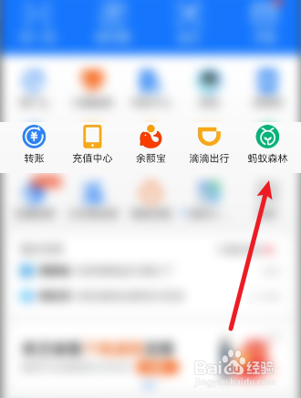 支付宝如何进入神奇海洋