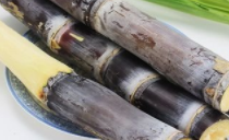 冬天小孩吃什么水果好