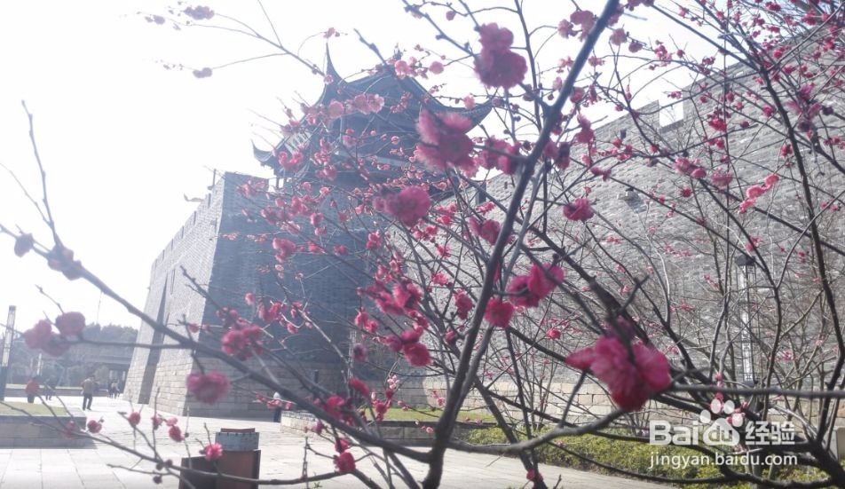 怎样从失恋的阴影中走出来