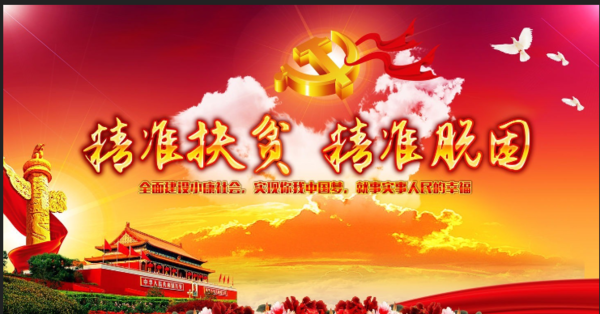 国家精准扶贫项目是什么