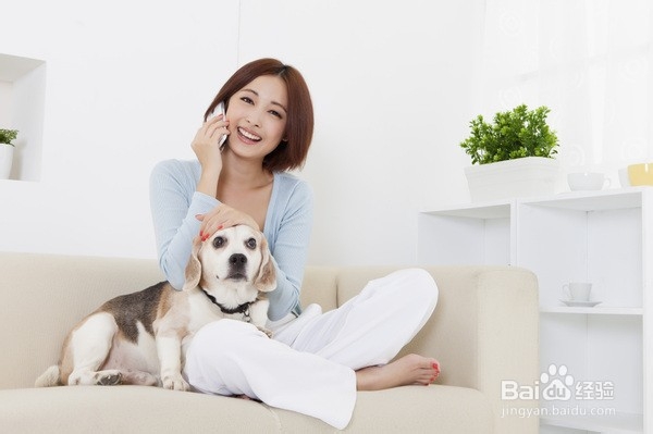 狗狗长真菌皮肤病怎么办？
