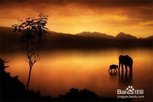 用手机拍摄日落图片的技巧掌握