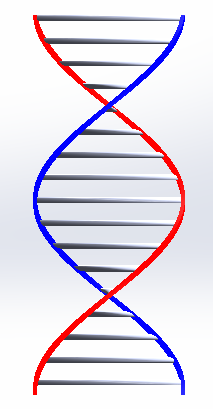 如何用SolidWorks画DNA