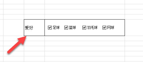 Excel如何制作多选框
