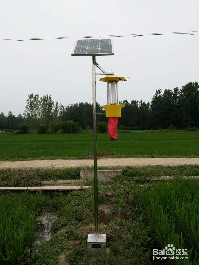 农业杀虫灯价格是多少？