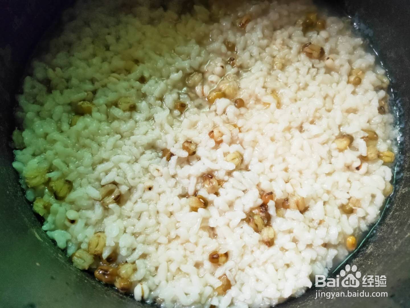 绿豆薏仁粥---养生系列