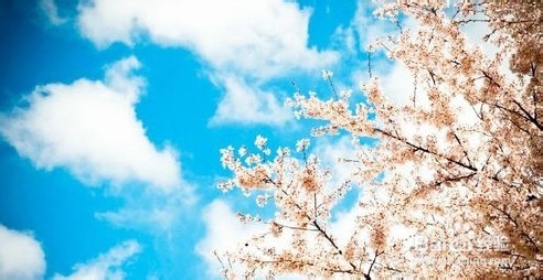 怎样进行日语入门学习