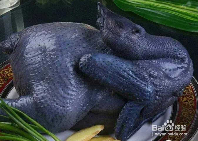 适合中老年人补气血的补品有哪些?