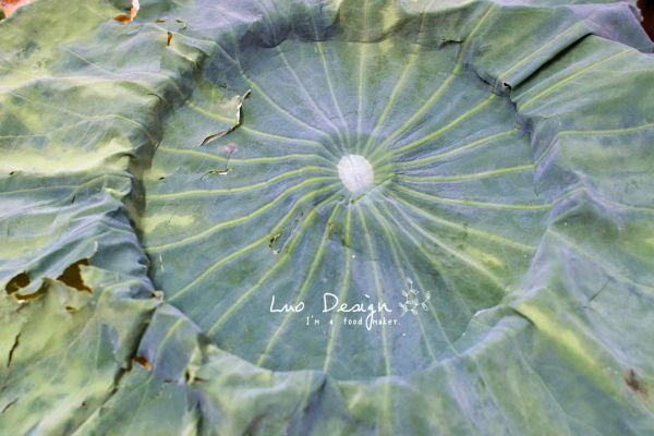 荷香排骨糯米饭