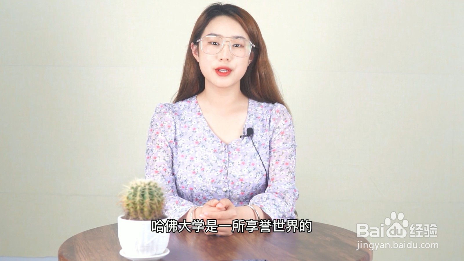 哈佛大学在美国哪个城市