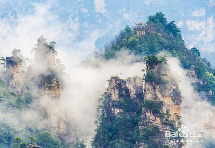 张家界如何旅游