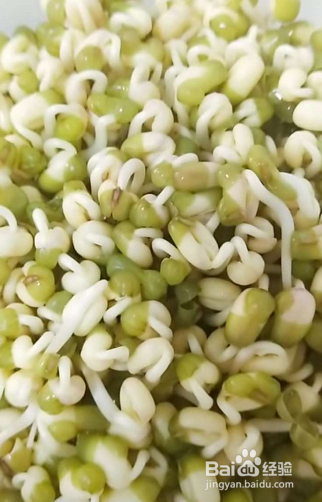 绿豆芽怎么生粗壮又白
