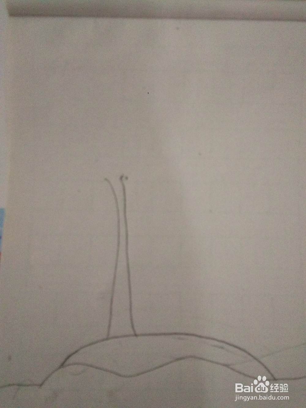 快速画一颗椰子树